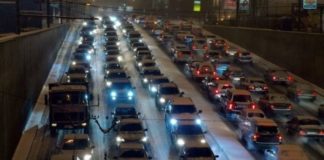 Экологические дорожные знаки появятся на дорогах России